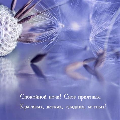 Сокровенные символы: Значения снов о руминировании легких сладких субстанций