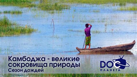 Сокровища милой природы: мудрость снов о дагу, водной особе и расхитителе злаковых полей