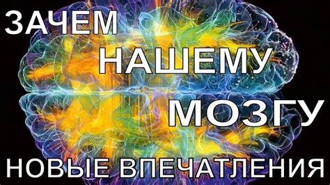 Сон, эмулирующий курение: зачем нашему мозгу такие впечатления?