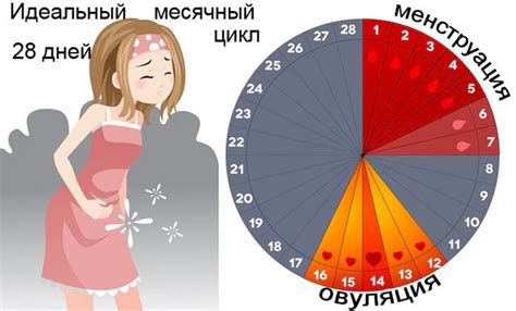 Сон как индивидуальная реакция на физиологический цикл у женщин