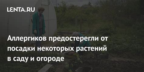 Сон о вспаханном огороде: предупреждение или напутствие?