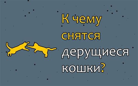 Сон о дерущихся кошках: отражение подсознательного мира
