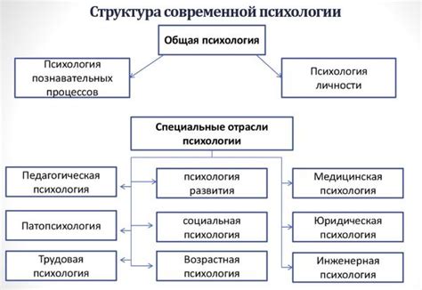 Сон о пауке в современной психологии: важность символики и влияние на психическое состояние