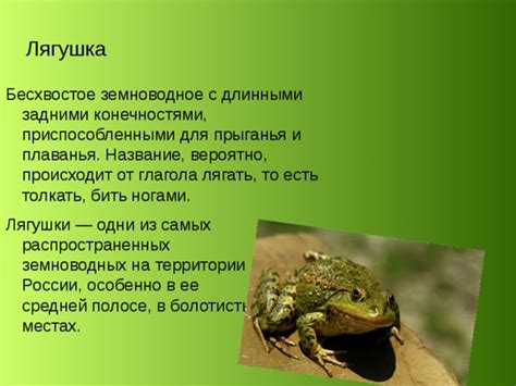 Сон о превращении в земноводное существо: значимость для саморазвития и преображения