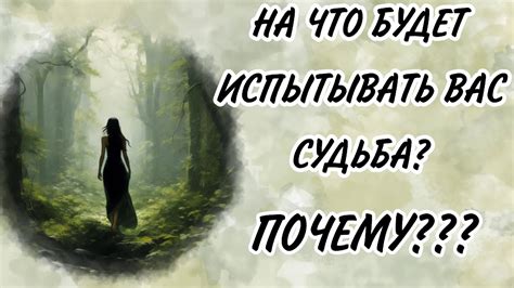 Сон о пути с множеством преград: вызовы и испытания на жизненном пути