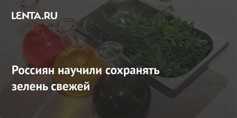 Сон о свежей безупречной обуви: символ пуританизма и непорочности