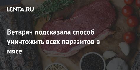 Сон о схватке паразитов на питомце – предупреждение о возможных здоровотворных проблемах