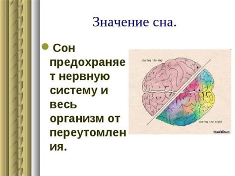 Сон - неотъемлемый спутник психического благополучия: воздействие сна на нервную систему