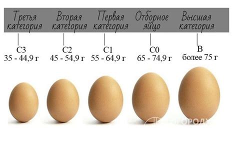 Составляющие веса яйца