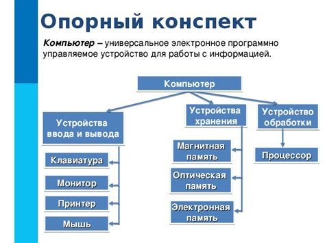 Состав ВНД: основные компоненты и их назначение