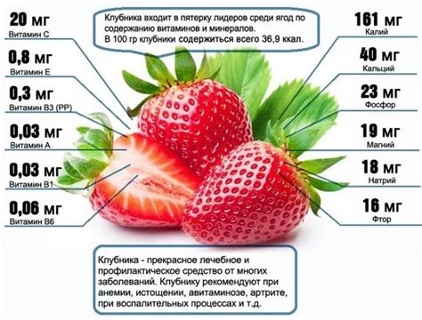 Состав и польза для здоровья