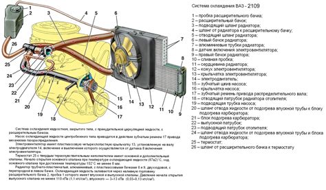 Состав и работа радиатора