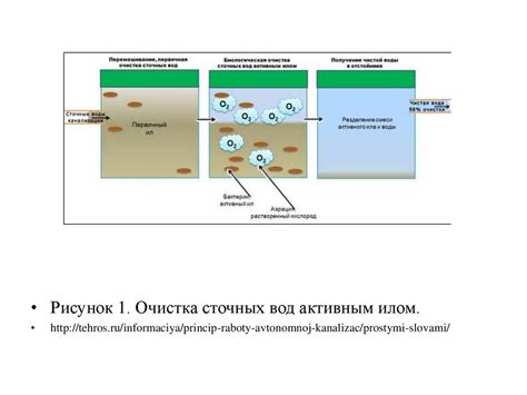 Состав и свойства речного ила