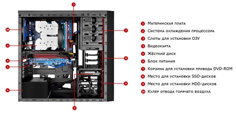 Состав и устройство системы