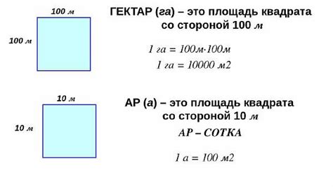 Сотки: площадь и ее измерение