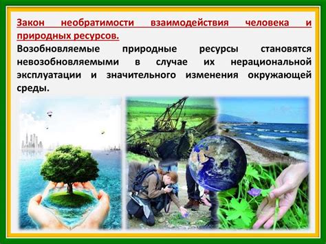 Сохранение окружающей среды: общественное движение и роль государства