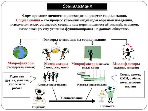 Социализация и доверие