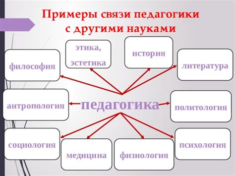 Социология, политология, педагогика: история, связь, смысл