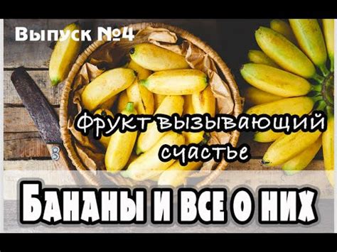 Сочетаемость бананов с другими продуктами