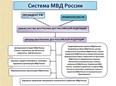 Специализации и подразделения МВД