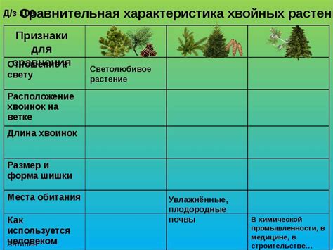 Специфика строения хвои и ее защитная функция