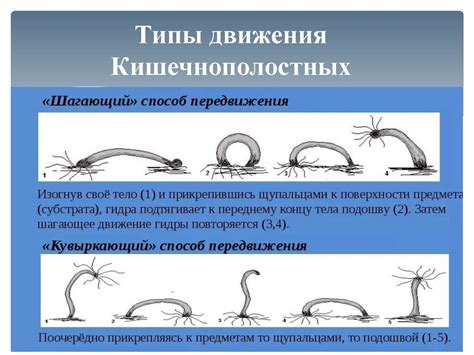 Способ передвижения