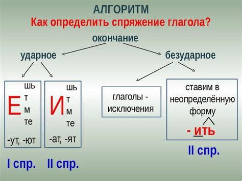 Спряжение глагола: определение и значение