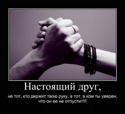 Сработанная связь: проникновение в значение снов о дружбе в стенах университета