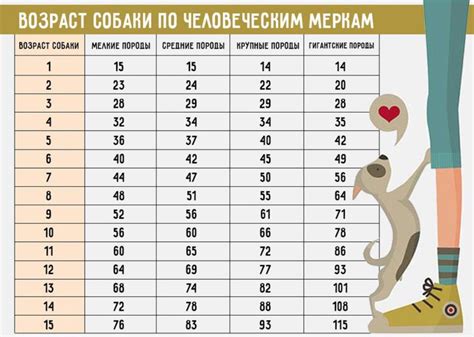 Среднее количество сна в зависимости от возраста собаки