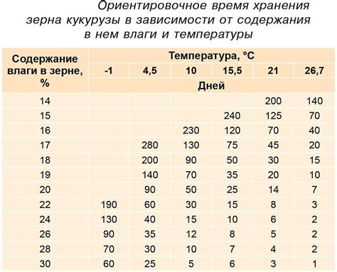 Сроки хранения початка кукурузы