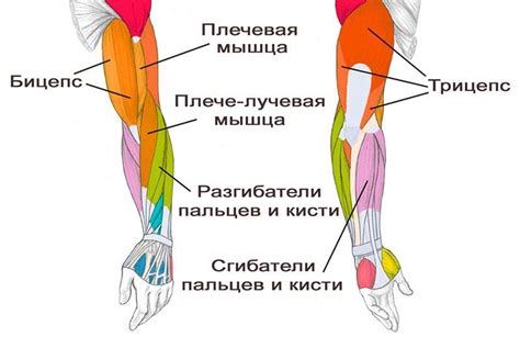 Стимуляция мышц руки