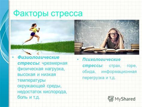 Стрессы и физическая нагрузка