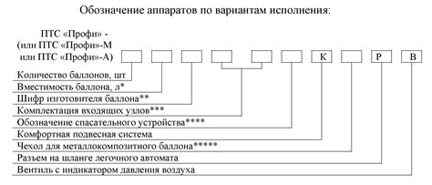 Структура аппарата ПТС Профи М: основные компоненты и функции