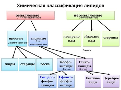 Структура и классификация липидов