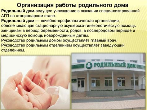 Структура и организация работы