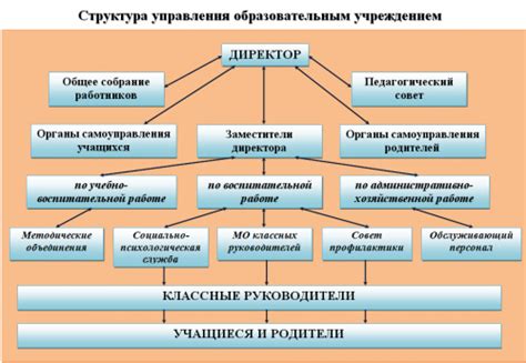 Структура и организация работы учреждения