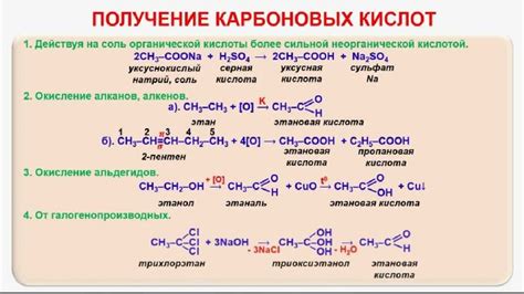 Структура и свойства карбоновых кислот