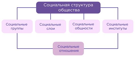 Структура общества инфоурок