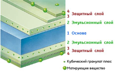 Структура пленки