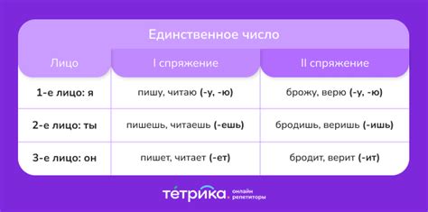 Структура спряжения