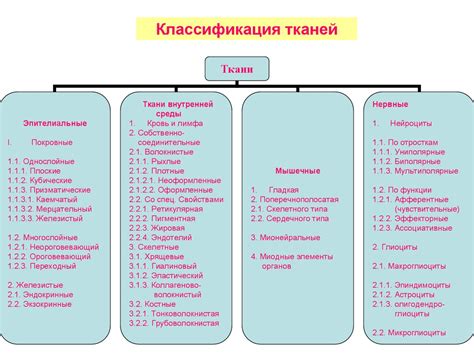 Структурные изменения тканей