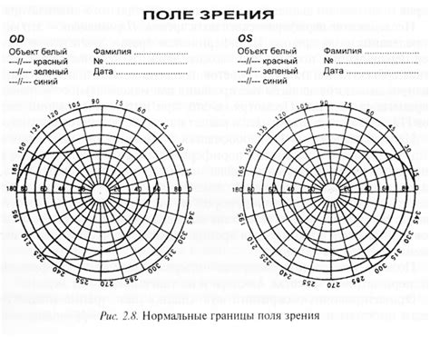 Сузим поле зрения: о чем говорит сон, в котором ценки играют главную роль?