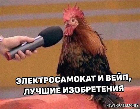 Сущность силы петушиного крика