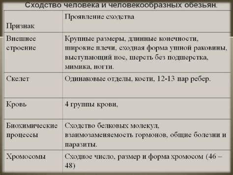 Сходство человека и обезьяны: интересные факты, которые вам неизвестны!