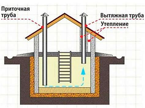 Сырость в подвале частного дома: как победить ее?