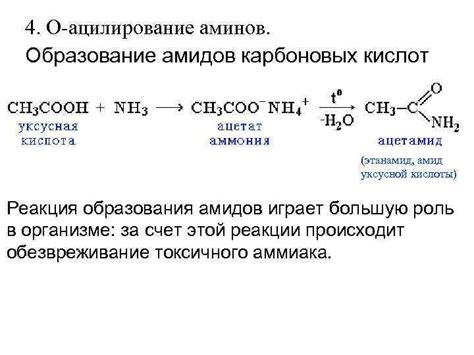 Таинственная суть снов о соотношении амидов азотной кислоты: познание и символика