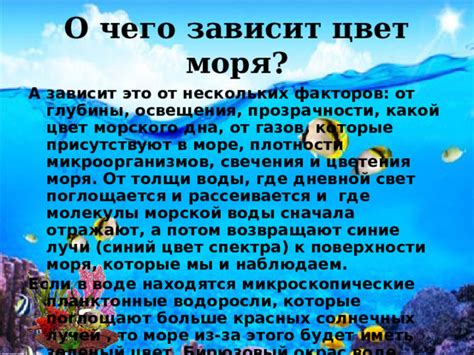 Таинственное значение прозрачности морской безмутной влаги в полночные сны