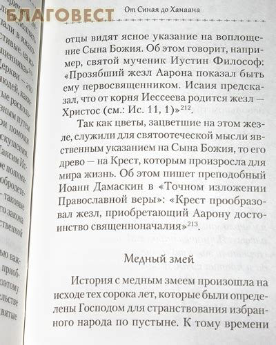 Таинственные содержания снов: веревка в сонных толкованиях и ее глубокий смысл