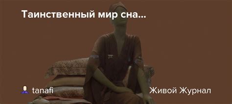 Таинственный мир символов: смысл сна, где вы восседаете на коне