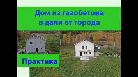 Таинственный символизм: загадочный сон о скрытном питомце в дали от дома